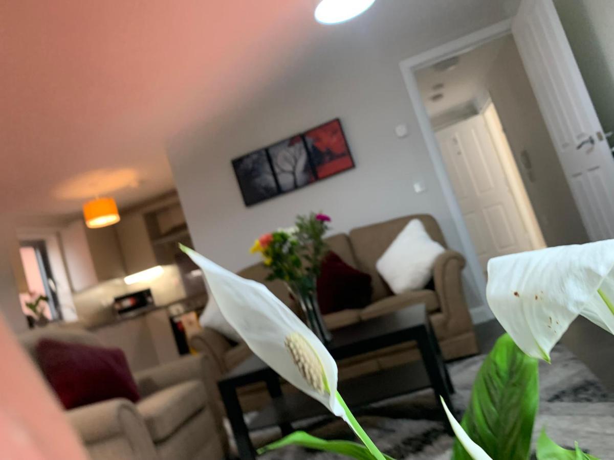 Aqua Dreams - Serviced Luxury Modern Belfast City Centre 2 Bed Apartment מראה חיצוני תמונה